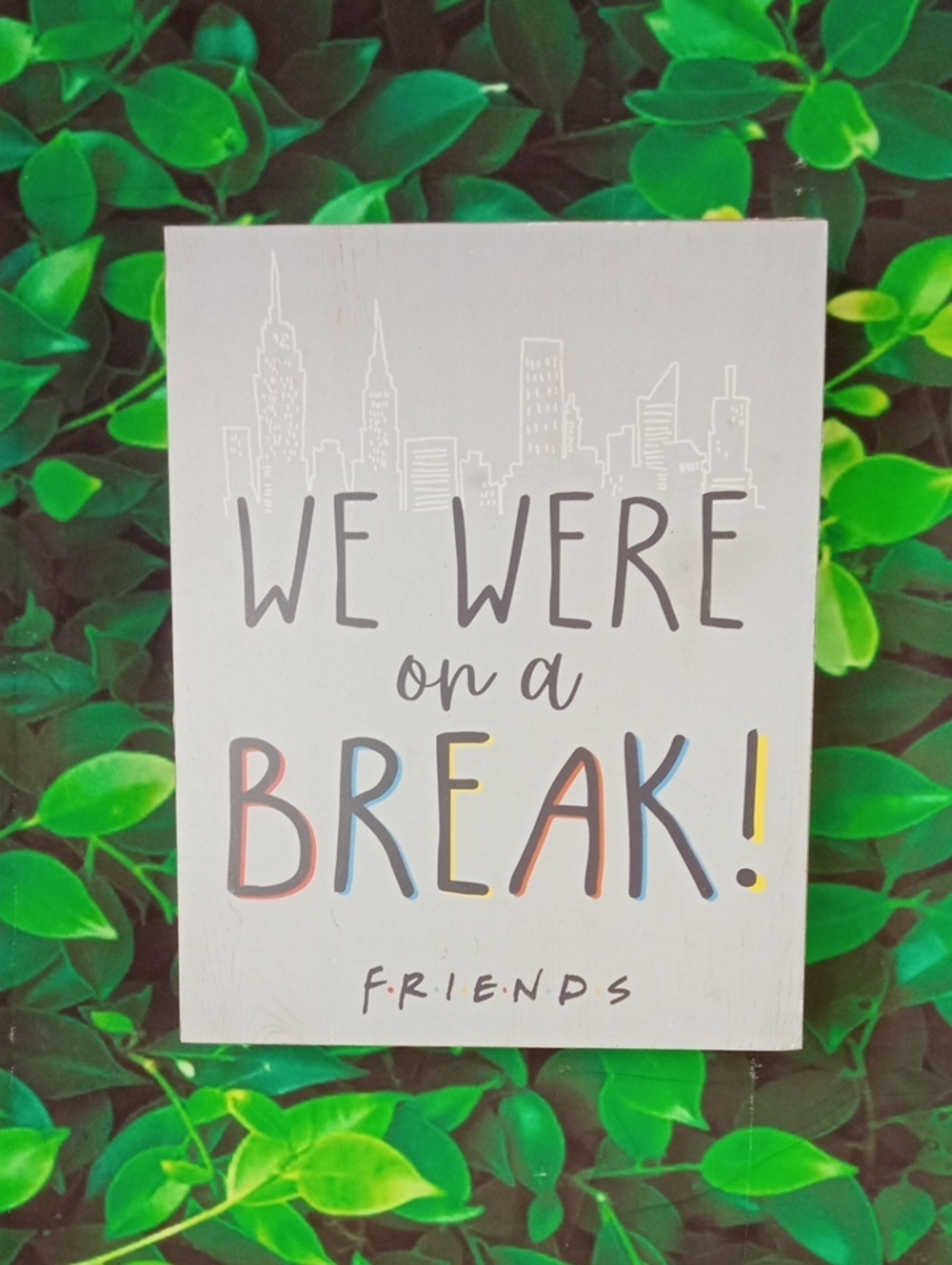 🍿 🍒 FRIENDS 'We Were on a BREAK!' Wall Sign